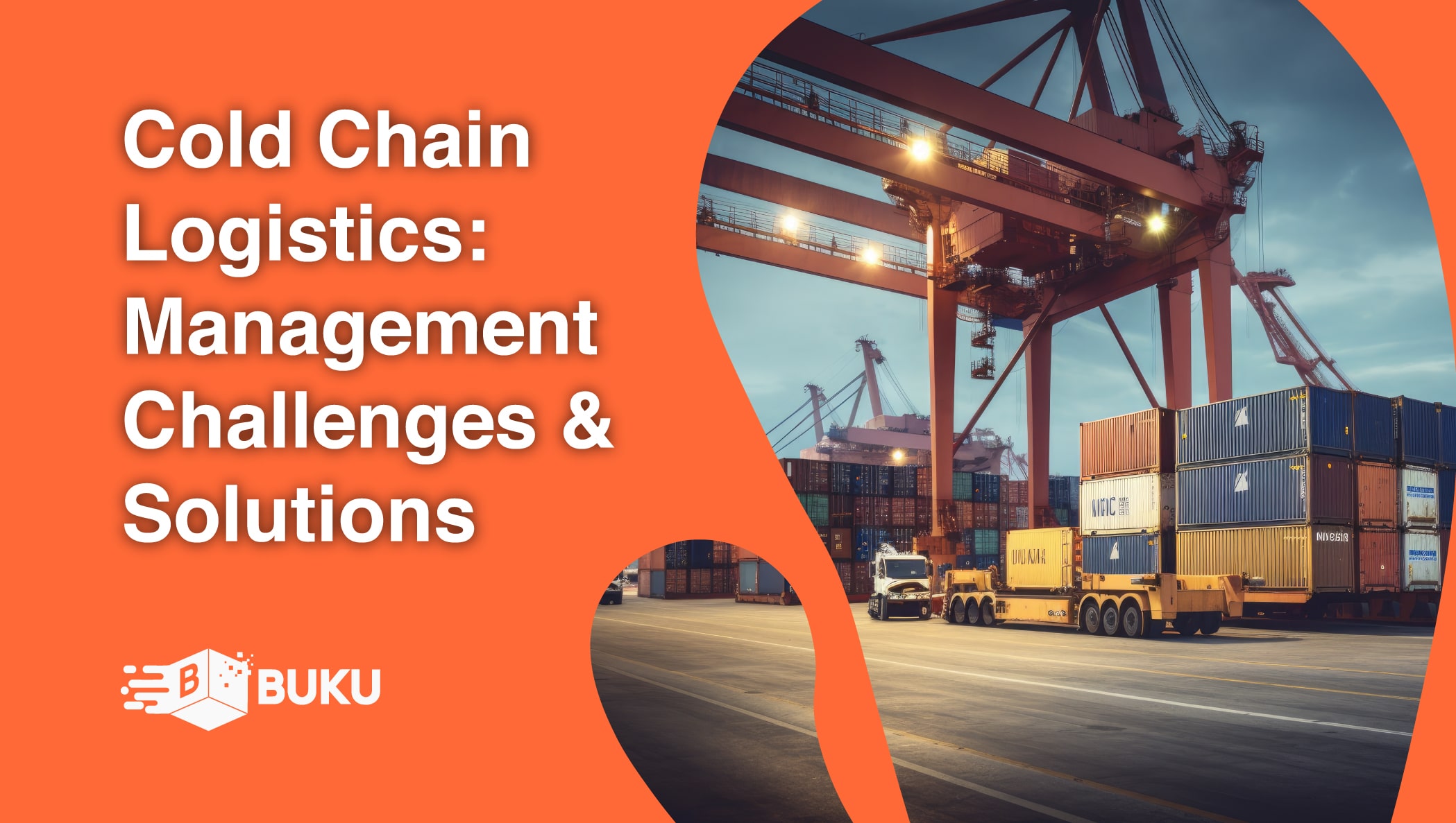 Cold Chain Logistics: Management Challenges & Solutions